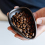 Feuchte Kaffeebohnen und Kaffeetablett nach Gebrauch RDT-Sprühflasche von Barista-Essentials